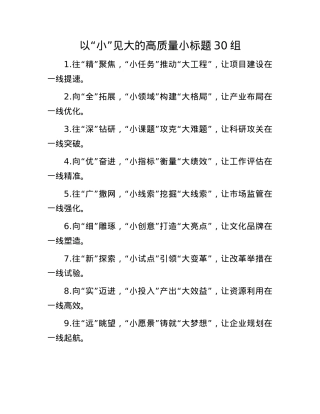 以“小”见大的高质量小标题30组.docx