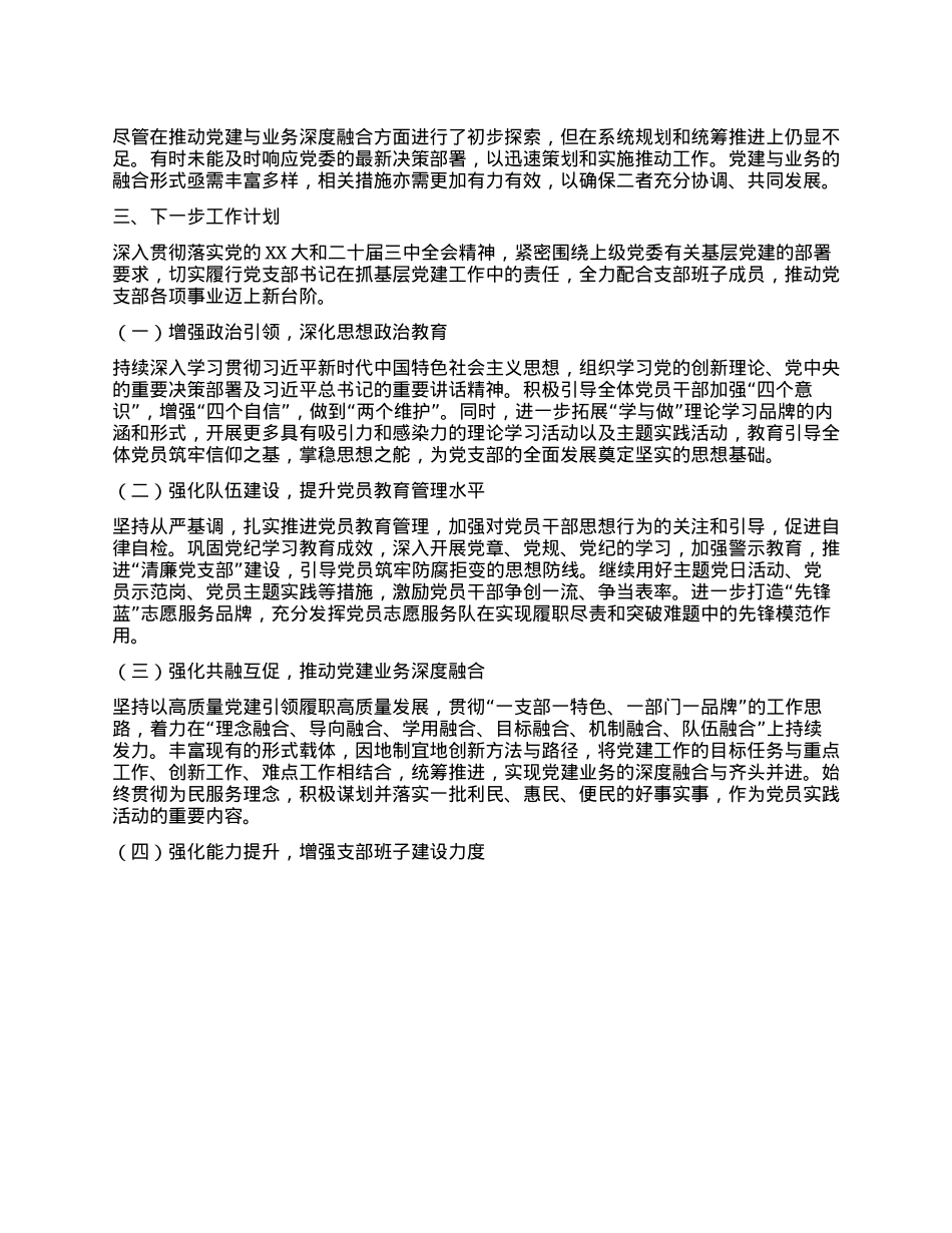 2024年xxX支部书记抓基层X建述职报告(1).docx_第3页