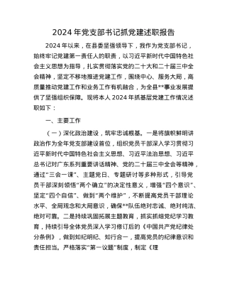 2024年X支部书记抓X建述职报告(1).docx