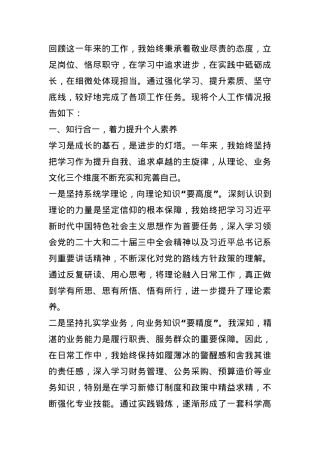 2024年度个人述职报告(1).docx