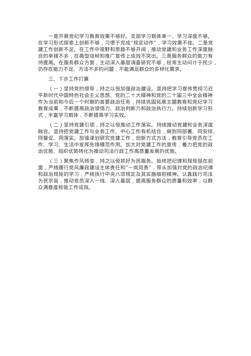 2024年度局党支部书记抓党建工作述职报告.docx_第3页