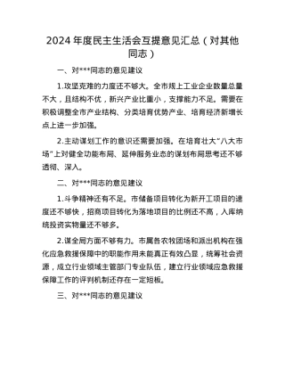 2024年度民主生活会互提意见汇总（对其他同志）(1).docx