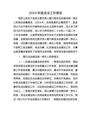2024年度述法工作报告(1).docx
