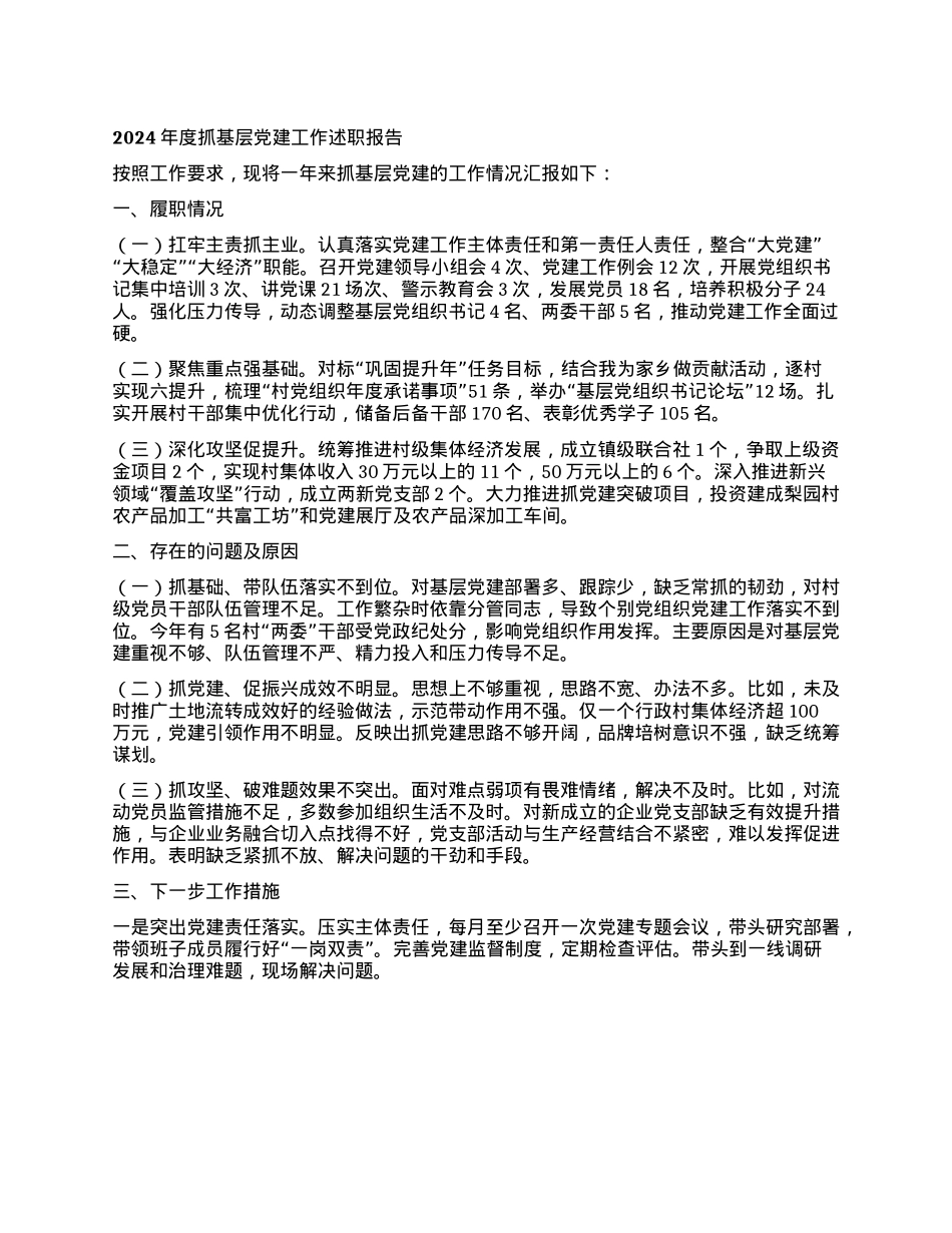 2024年度抓基层X建工作述职报告 (2).docx_第1页