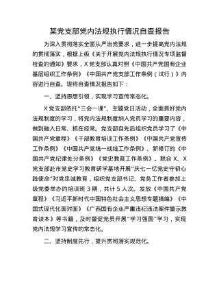 某X支部X内法规执行情况自查报告.docx