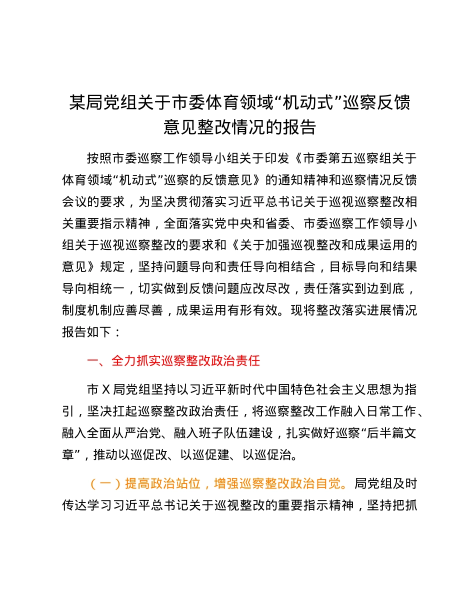某局X组关于市委体育领域“机动式”巡察反馈意见整改情况的报告.docx_第1页