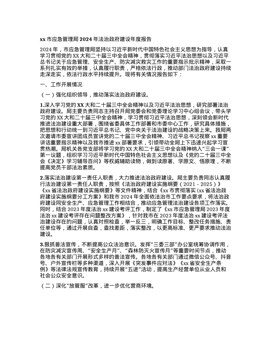 某某市应急管理局2024年法治政府建设年度报告.docx_第1页