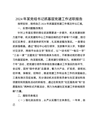 2024年某X组书记抓基层X建工作述职报告(1).docx