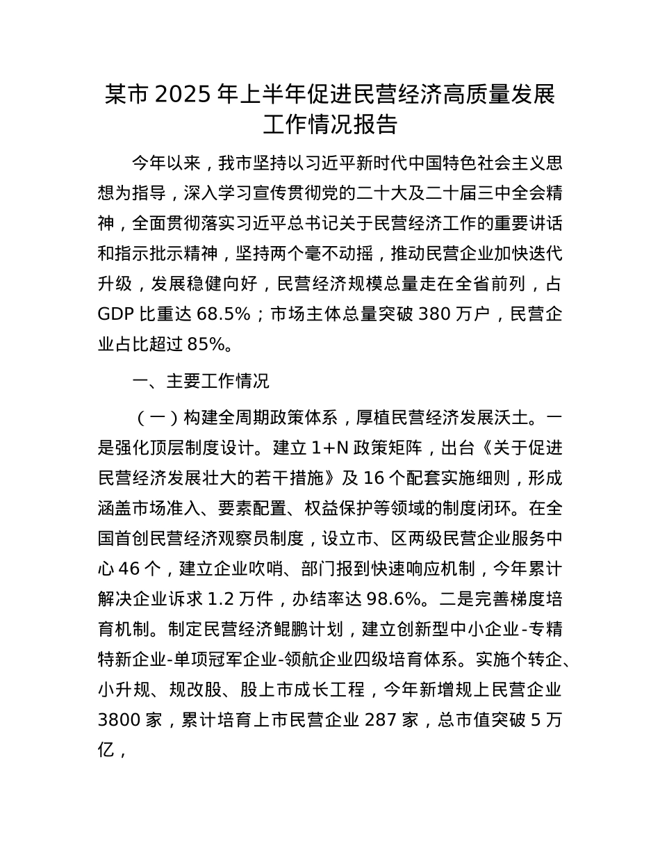 某市2025年上半年促进民营经济高质量发展工作情况报告.docx_第1页