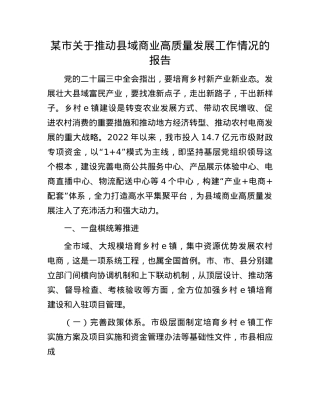 某市关于推动县域商业高质量发展工作情况的报告.docx