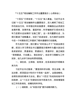 “十五五”规划编制工作作出重要指示（心得体会）.docx