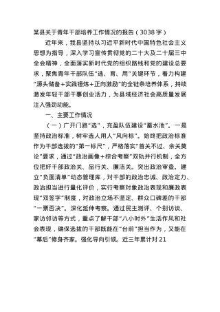 某县关于青年干部培养工作情况的报告（3038字）.docx