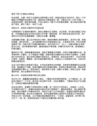 青年干部下乡锻炼心得体会.docx