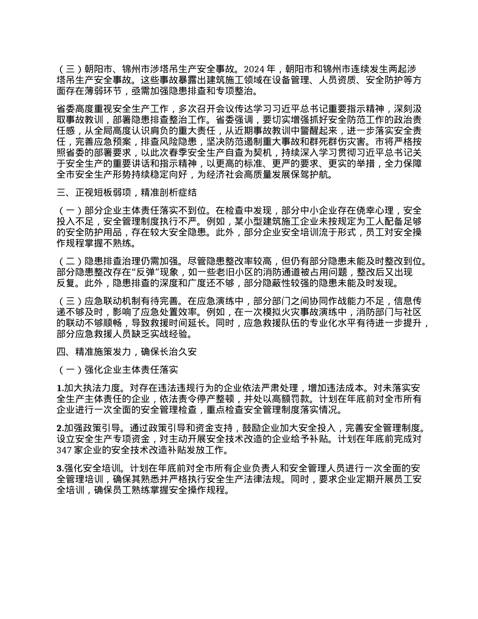 2025年市春季安全生产自查报告.docx_第2页