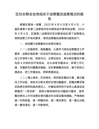 区妇女联合会X组关于巡察整改进展情况的报告.docx