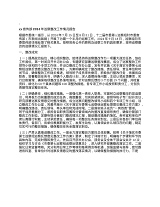 xx宣传部2024年巡察整改工作情况报告(1).docx
