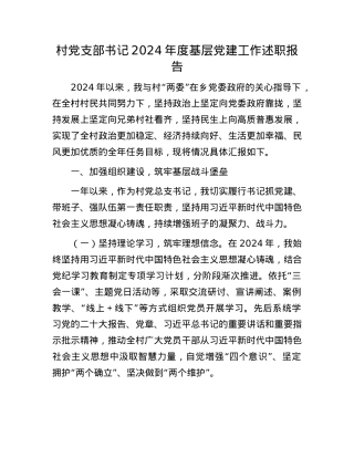 村X支部书记2024年度基层X建工作述职报告(1).docx