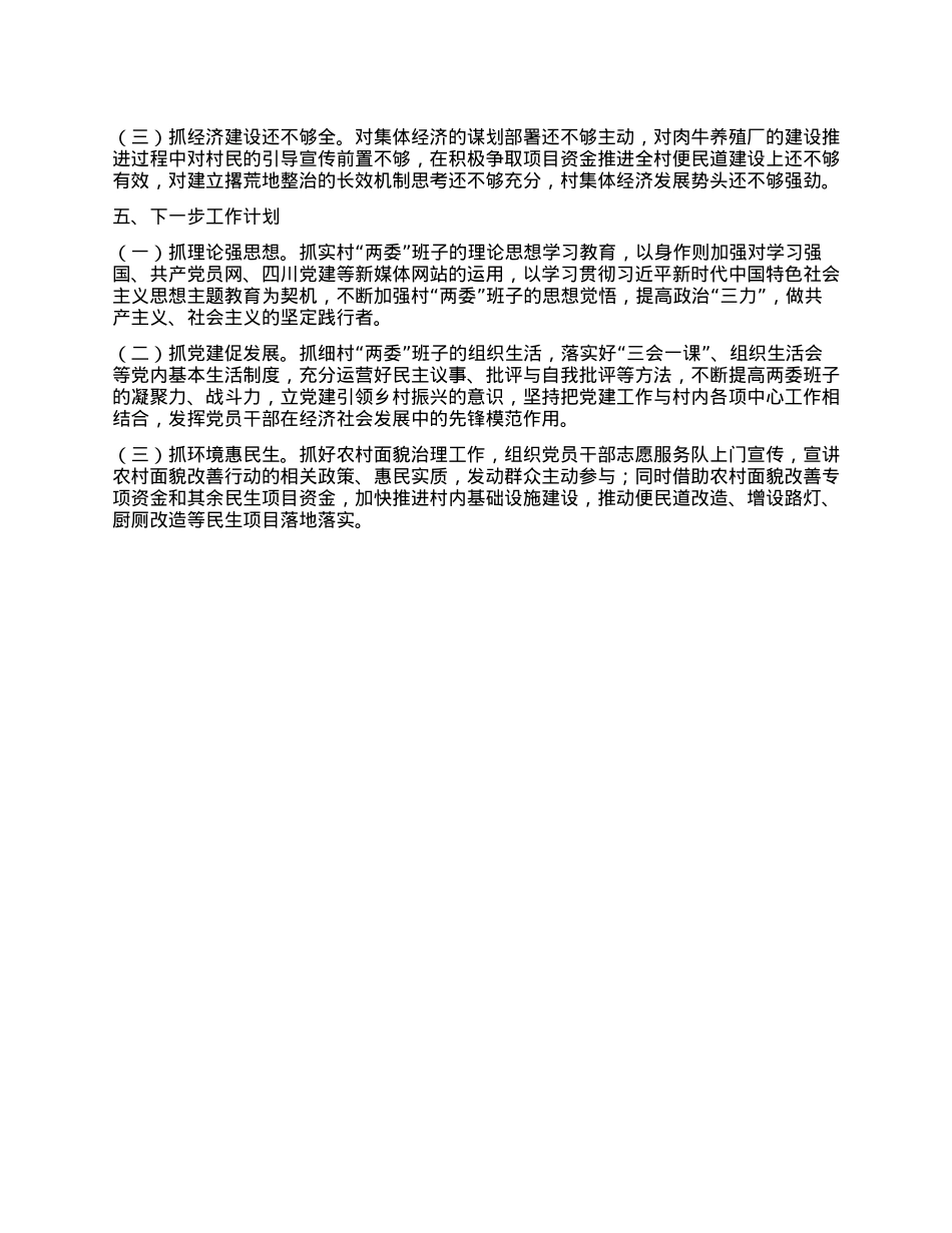 村X支部书记2024年度抓基层X建工作述职报告 (2)(1).docx_第3页