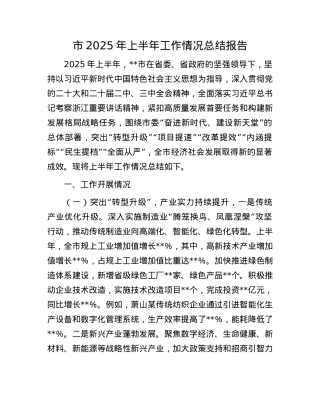 市2025年上半年工作情况总结报告.docx