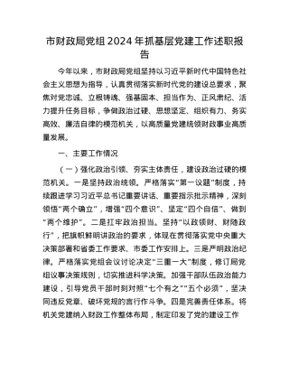 市财政局X组2024年抓基层X建工作述职报告(1).docx