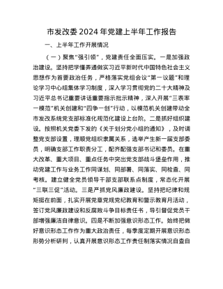 市发改委2024年X建上半年工作报告.docx