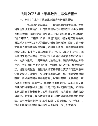 法院2025年上半年ZZ生态分析报告.docx