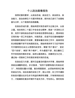 个人ZZ画像报告.docx