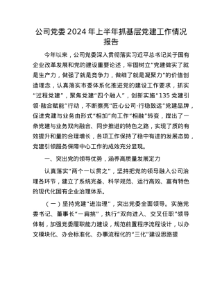 公司X委2024年上半年抓基层X建工作情况报告.docx