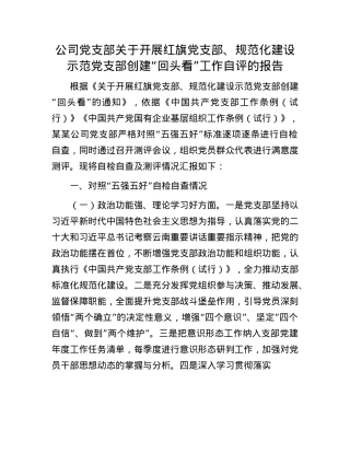 公司X支部关于开展红旗X支部、规范化建设示范X支部创建“回头看”工作自评的报告.docx