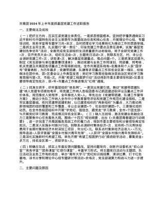 共青团2024年上半年度抓基层X建工作述职报告.docx