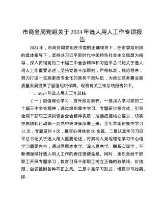 市商务局X组关于2024年选人用人工作专项报告(1).docx