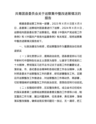 共青团县委员会关于巡察集中整改进展情况的报告.docx