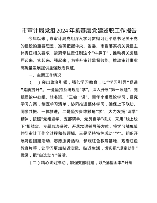 市审计局X组2024年抓基层X建述职工作报告(1).docx