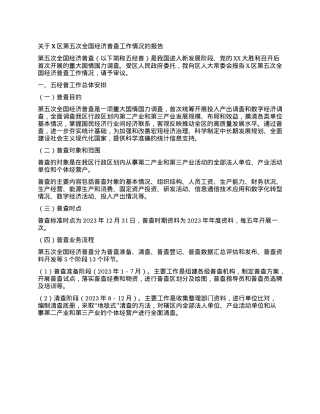 关于X区第五次全国经济普查工作情况的报告.docx