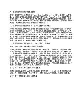 关于基层X组织建设情况的整改报告.docx
