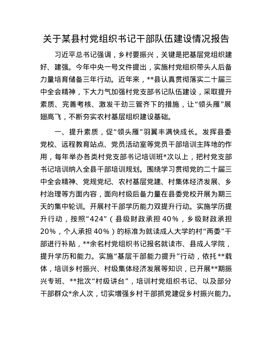 关于某县村X组织书记干部队伍建设情况报告.docx_第1页