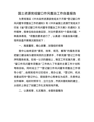 国土资源X组窗口作风整治工作自查报告.docx
