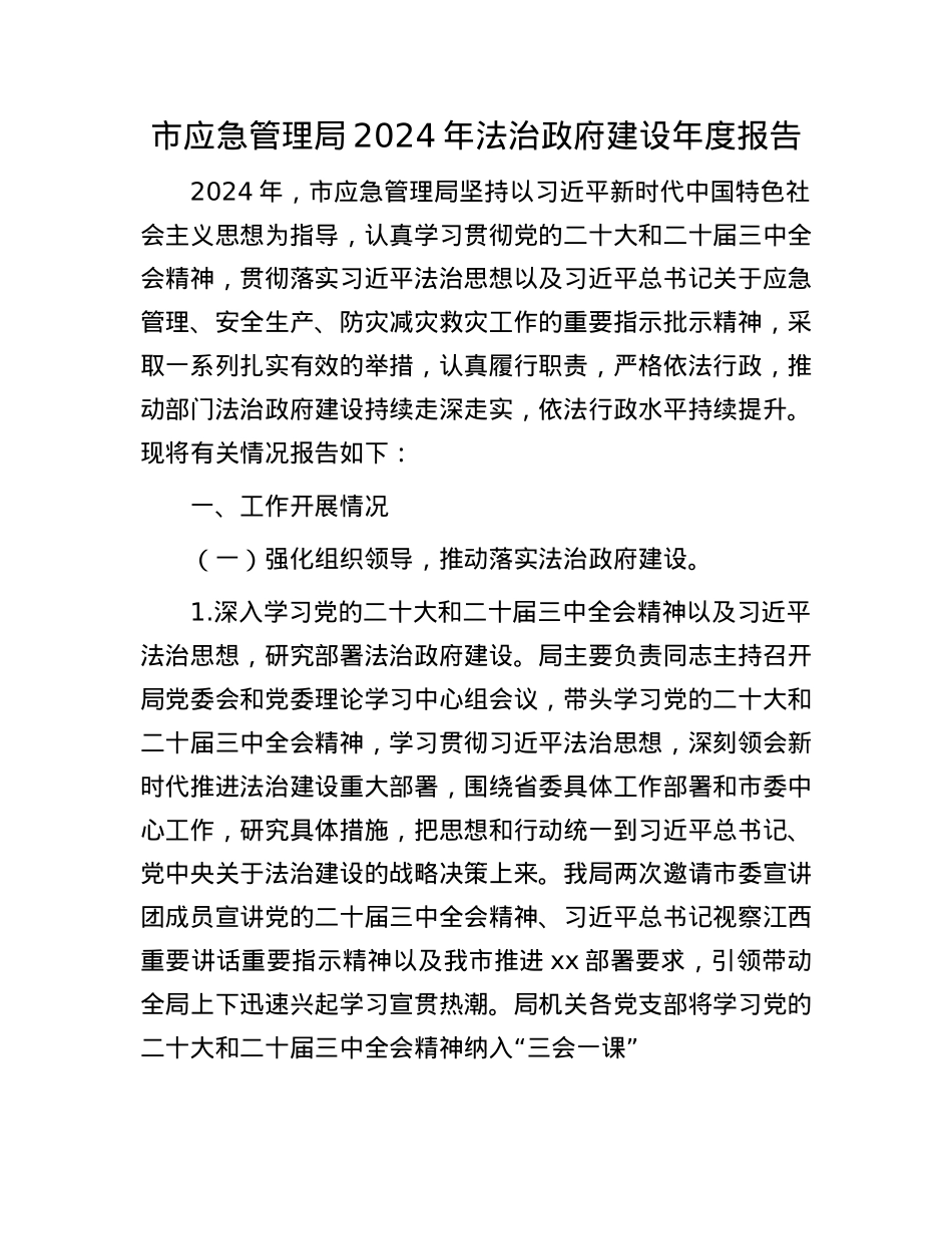 市应急管理局2024年法治政府建设年度报告.docx_第1页