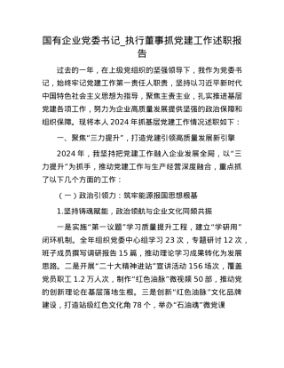 国有企业X委书记_执行董事抓X建工作述职报告.docx
