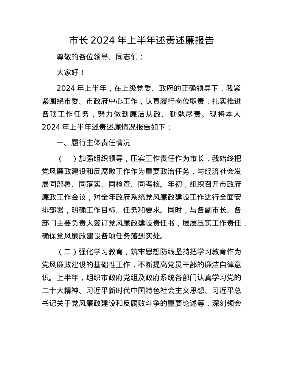 市长2024年上半年述责述廉报告.docx_第1页