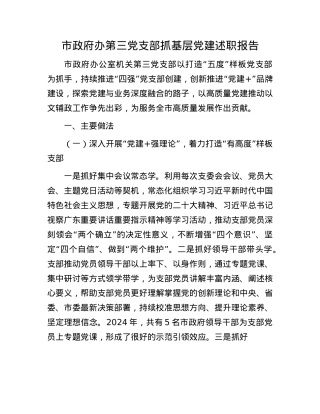 市政府办第三X支部抓基层X建述职报告(1).docx