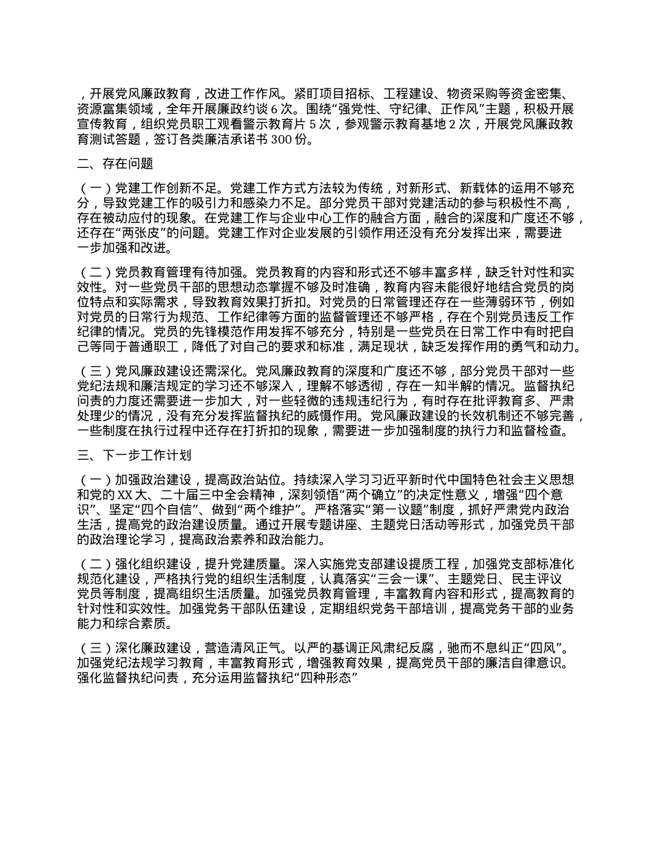 国有企业X支部2024年X建工作情况报告.docx_第2页