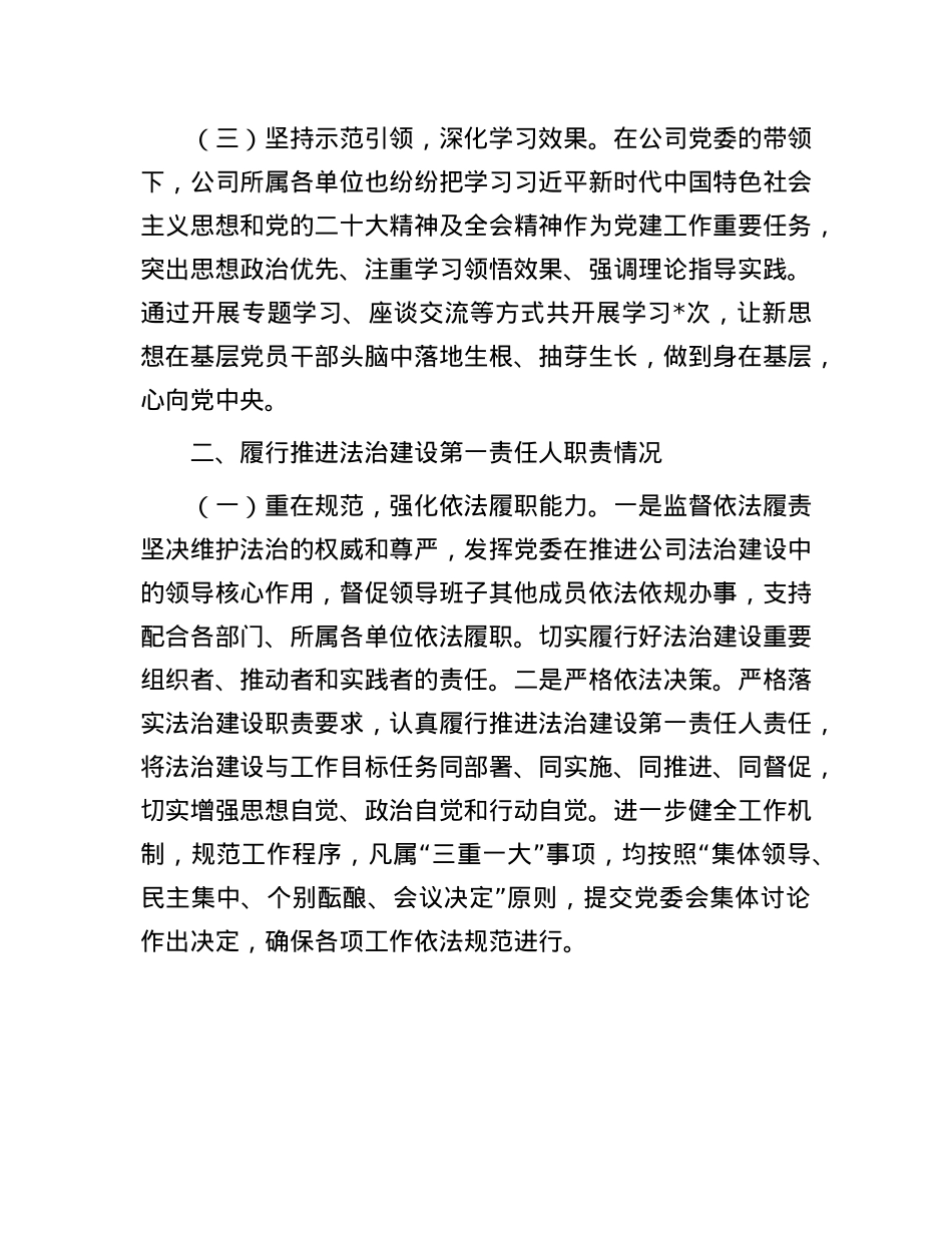 国有投资公司2024年度述法工作报告.docx_第2页