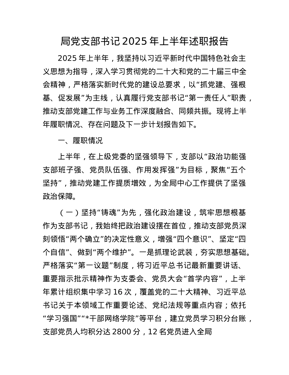 局X支部书记2025年上半年述职报告.docx_第1页