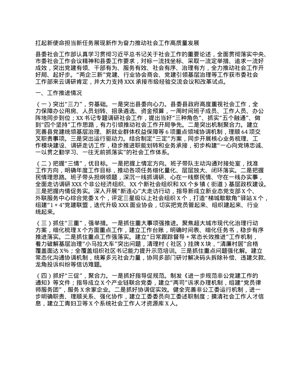 扛起新使命担当新任务展现新作为奋力推动社会工作高质量发展(1).docx_第1页