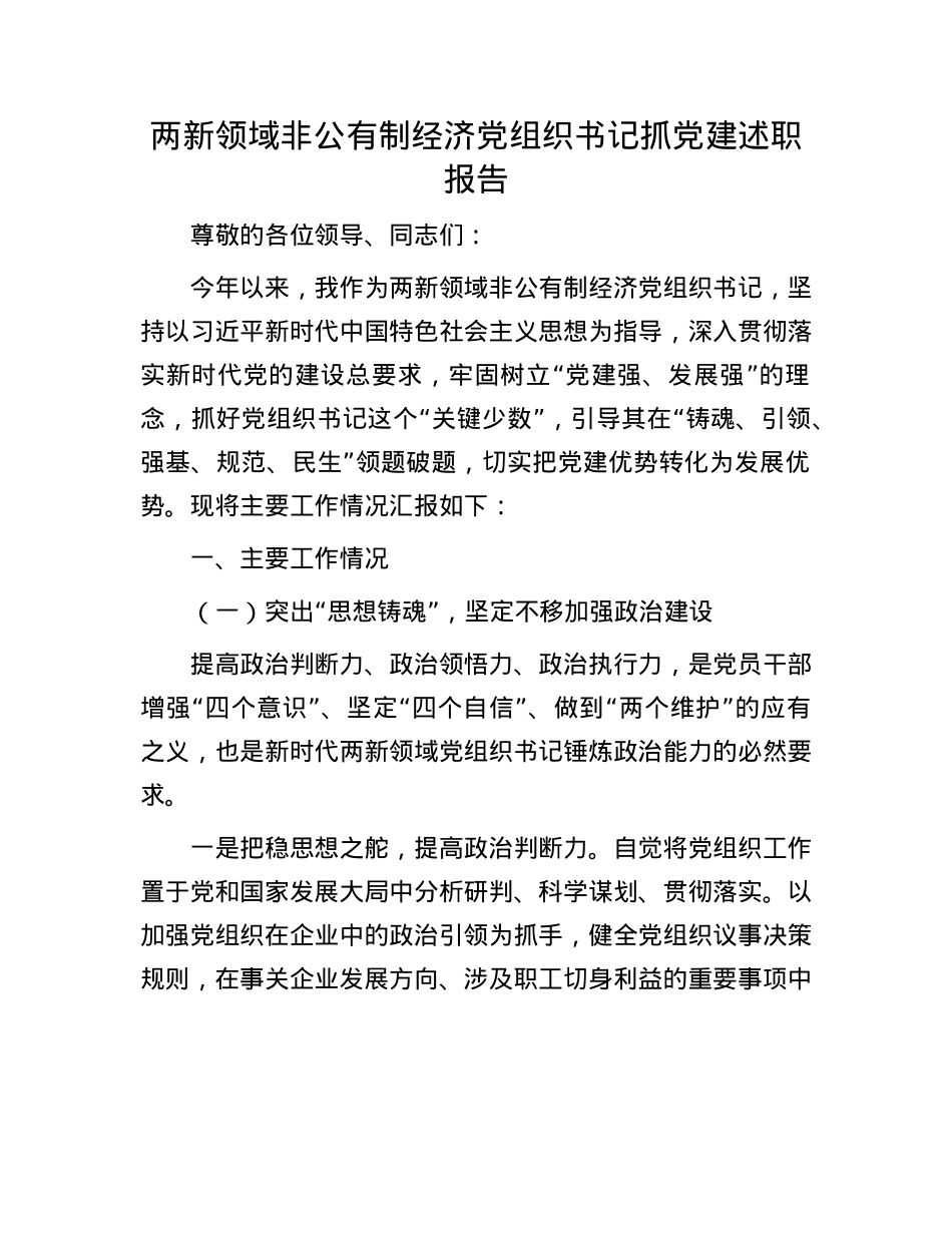 两新领域非公有制经济X组织书记抓X建述职报告.docx_第1页