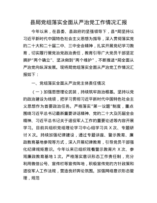 县局X组落实全面从严治X工作情况汇报.docx