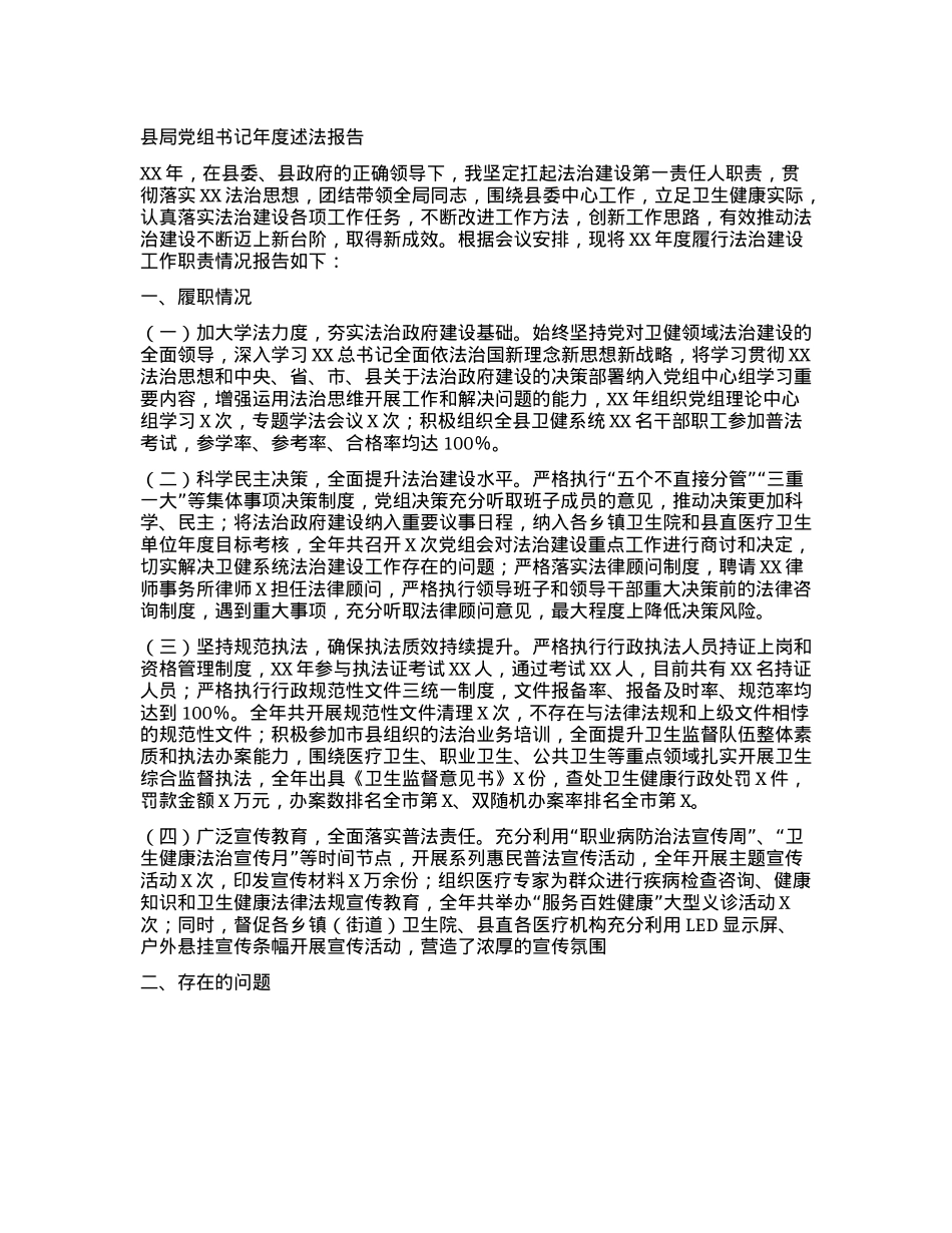 县局X组书记年度述法报告.docx_第1页