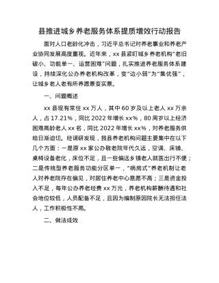 县推进城乡养老服务体系提质增效行动报告.docx