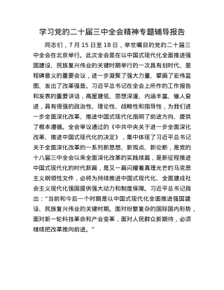 学习X的二十届三中全会精神专题辅导报告.docx